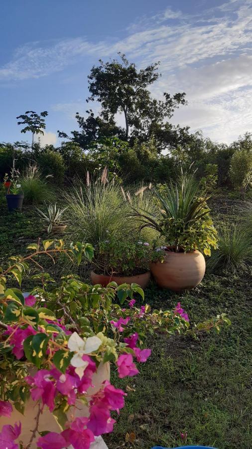 P'Tites Chambres Dans La Campagne De Marie Galante Grand-Bourg  Bagian luar foto